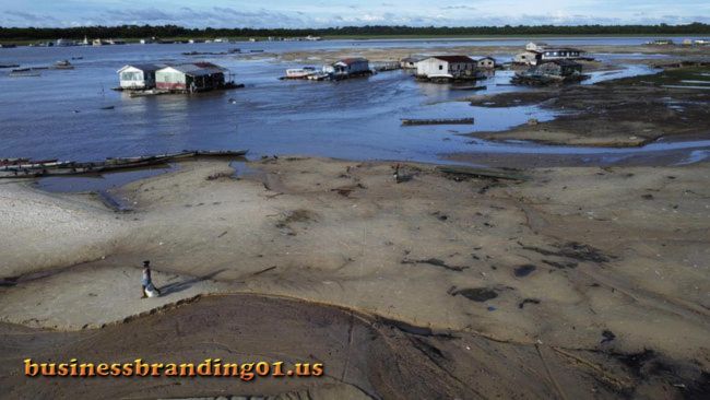 Sungai Amazon Mengalami Dampak Kekeringan Parah