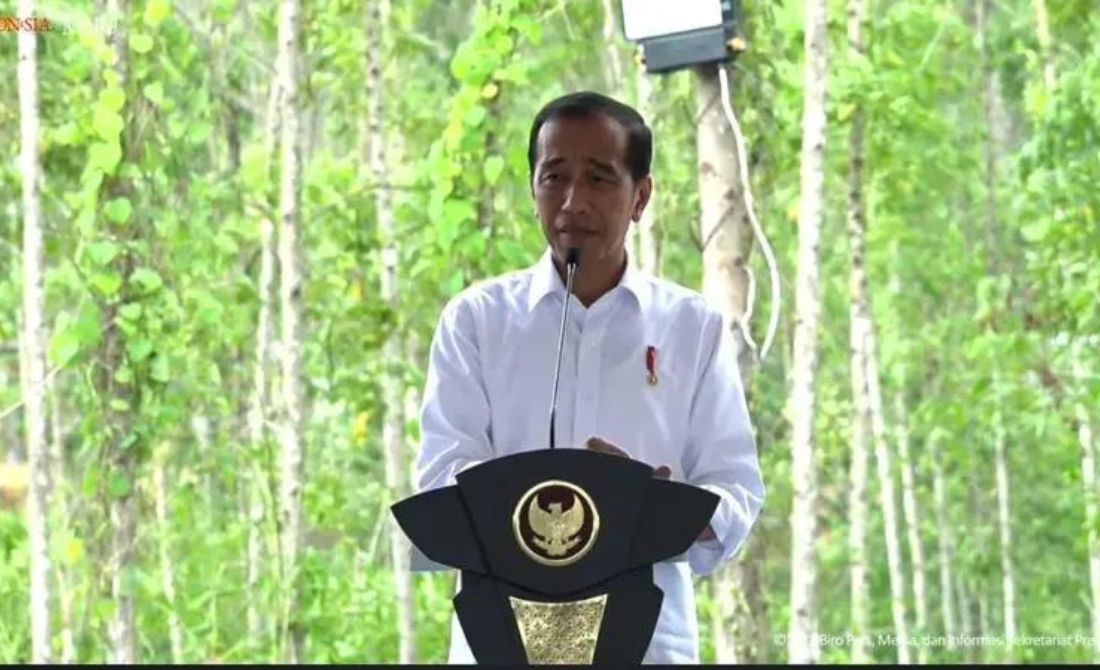 Jokowi Klaim Investor: Berinvestasi di IKN Usai Pemilu 2024