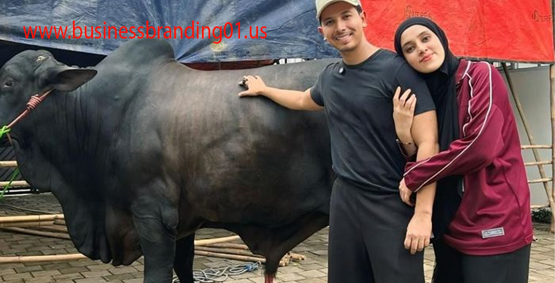 Fairuz A Rafiq